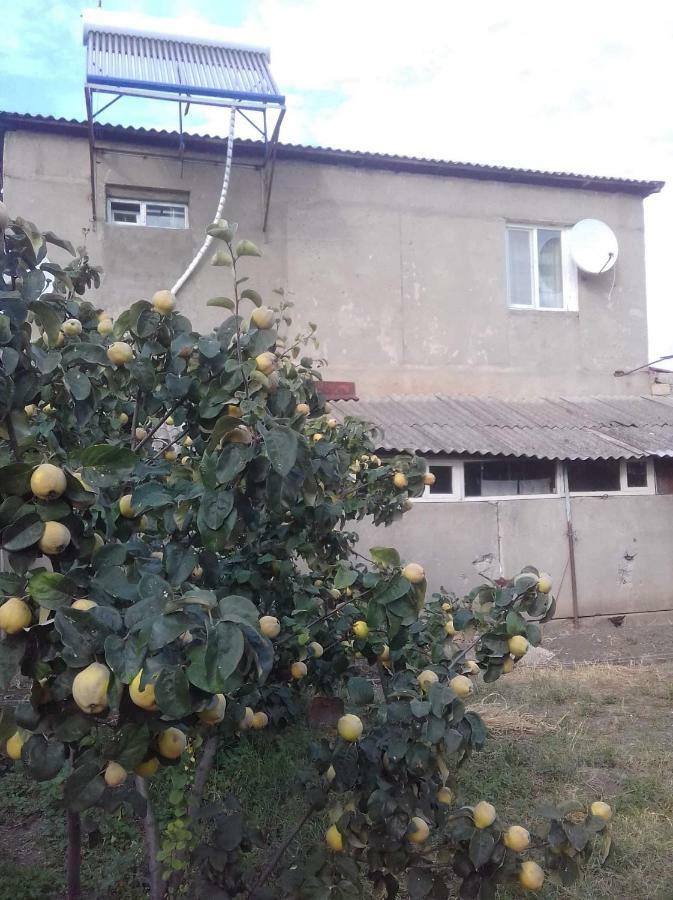Отель Гостевой дом Udabno Naili Экстерьер фото